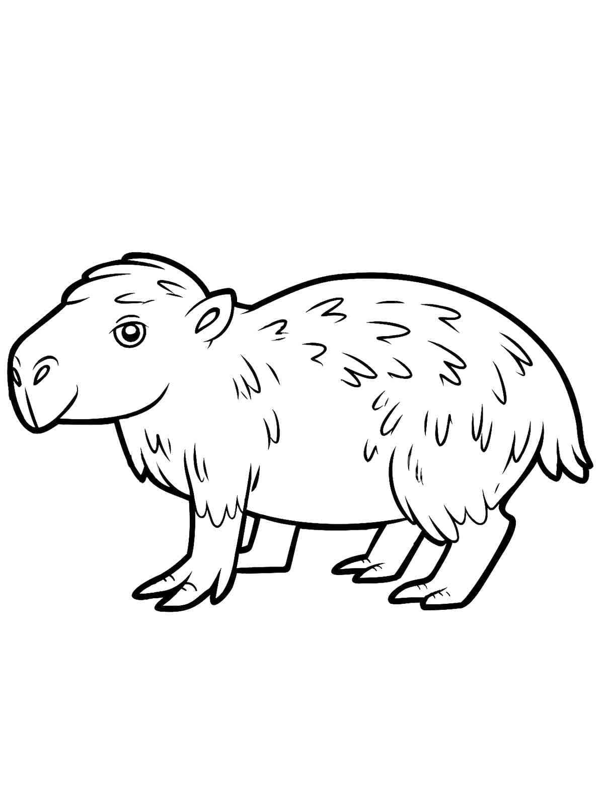 Kapibara