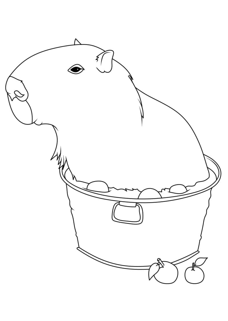 Kapibara