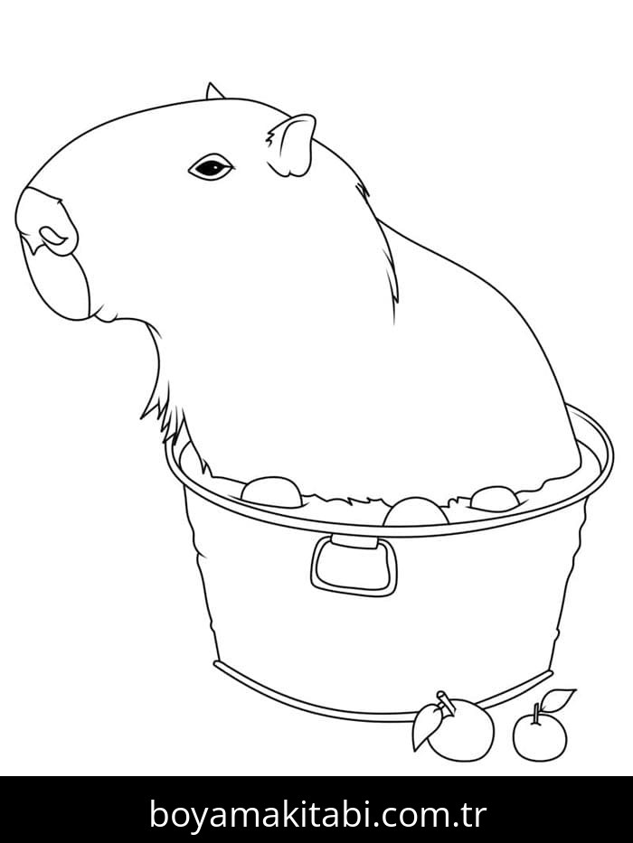 Kapibara