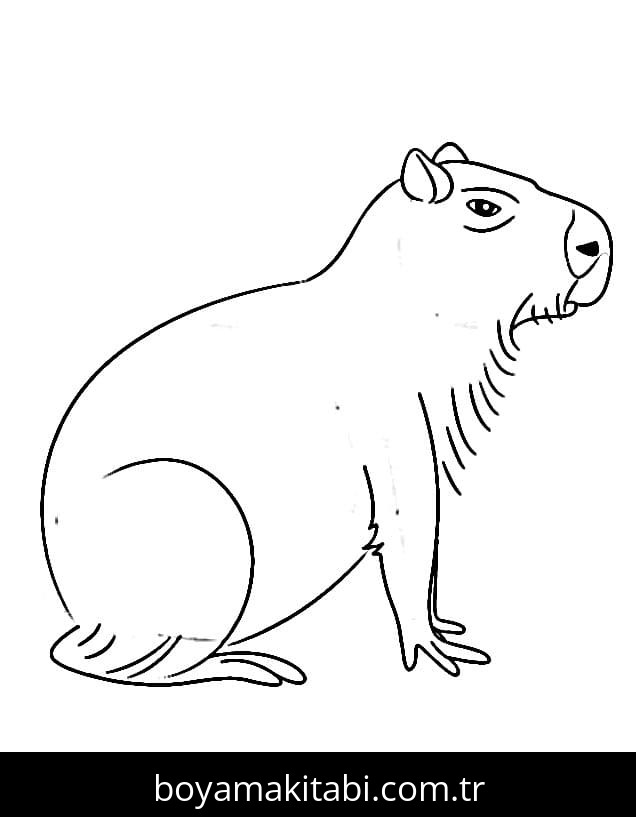 Kapibara