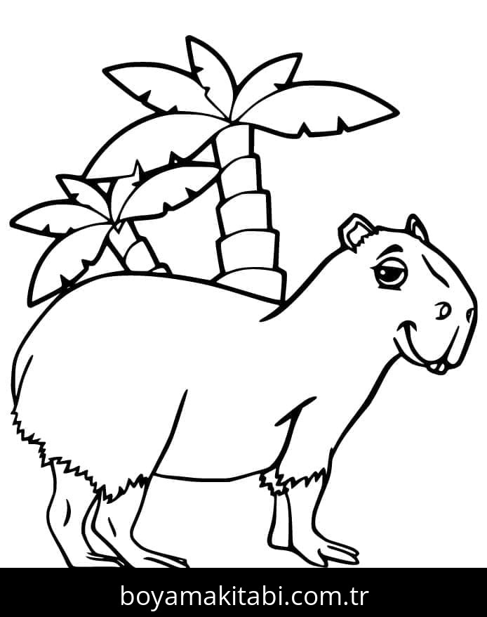 Kapibara