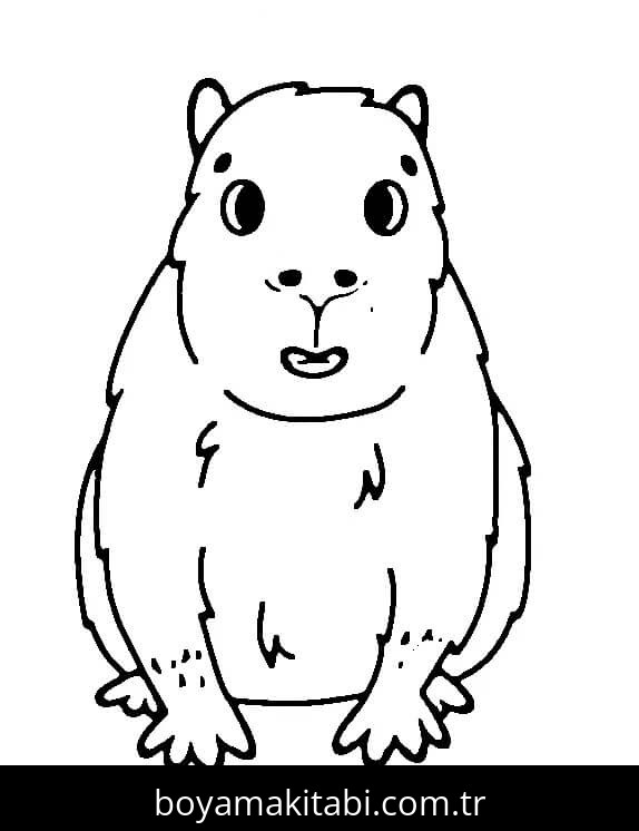 Kapibara