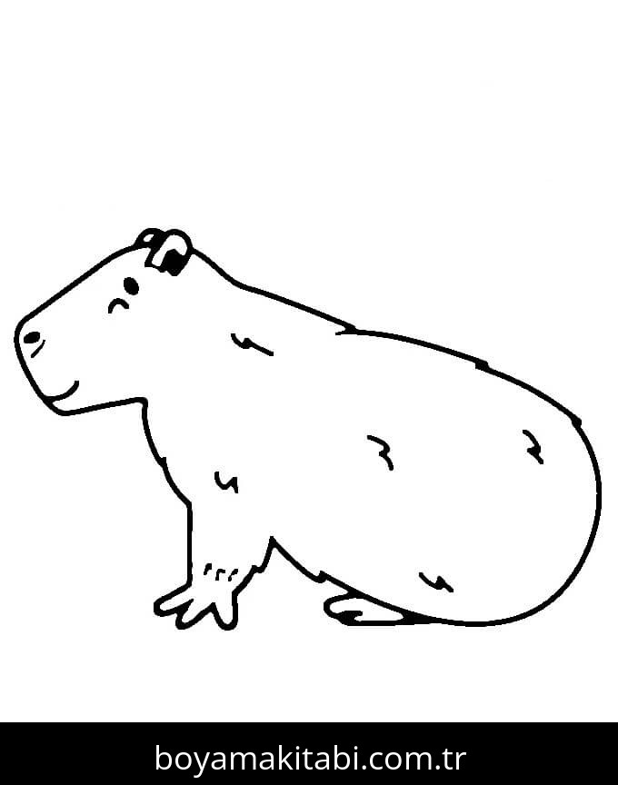 Kapibara