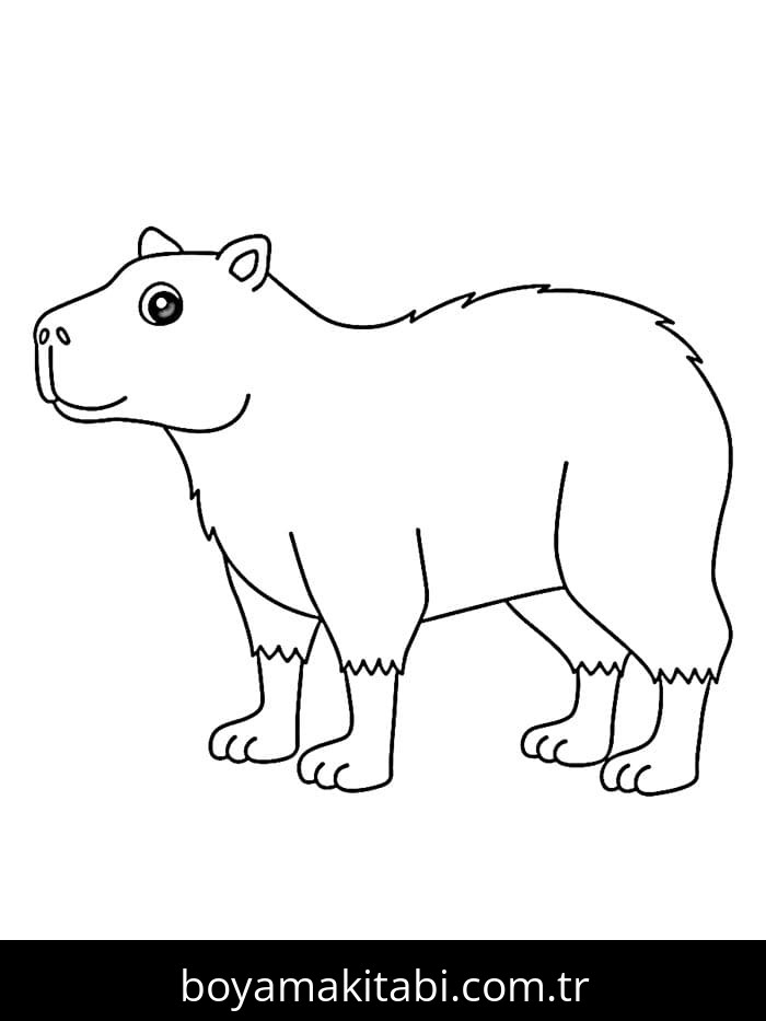 Kapibara