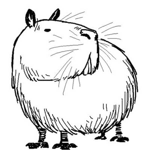 Kapibara