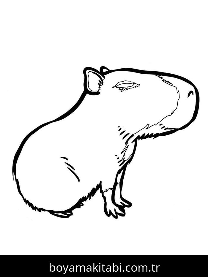 Kapibara