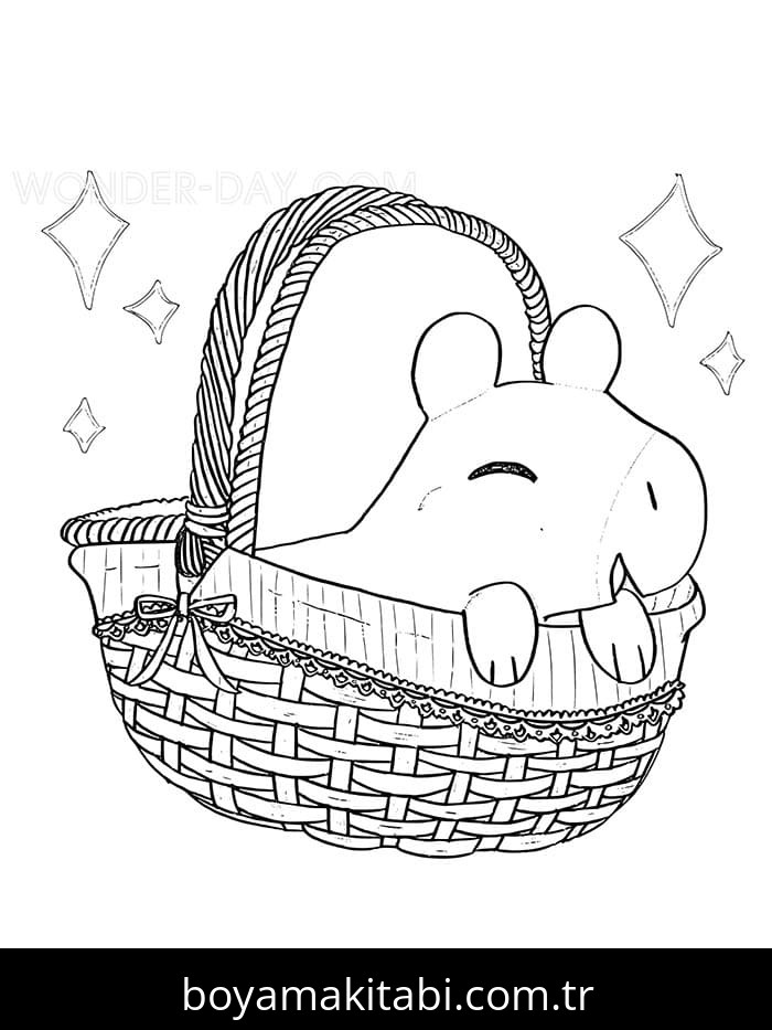 Kapibara