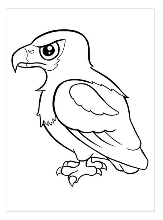 Kartal