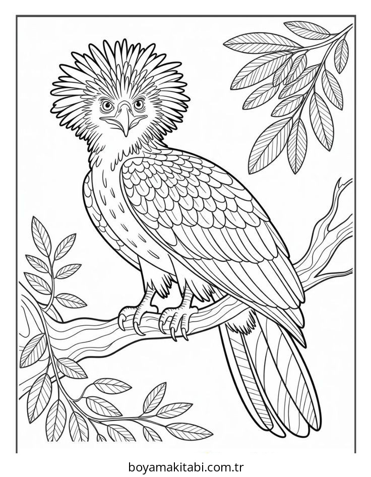 Kartal