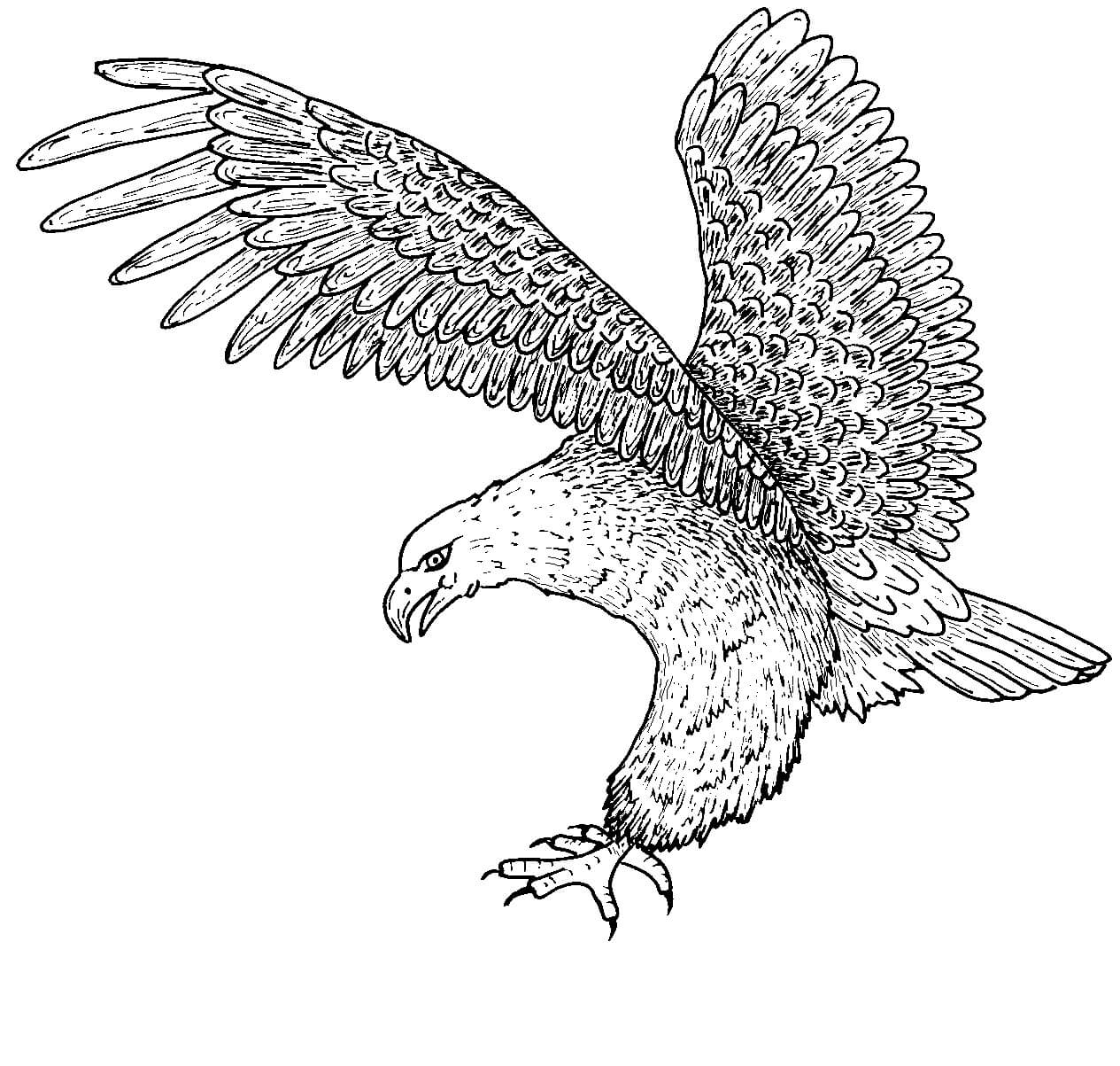 Kartal
