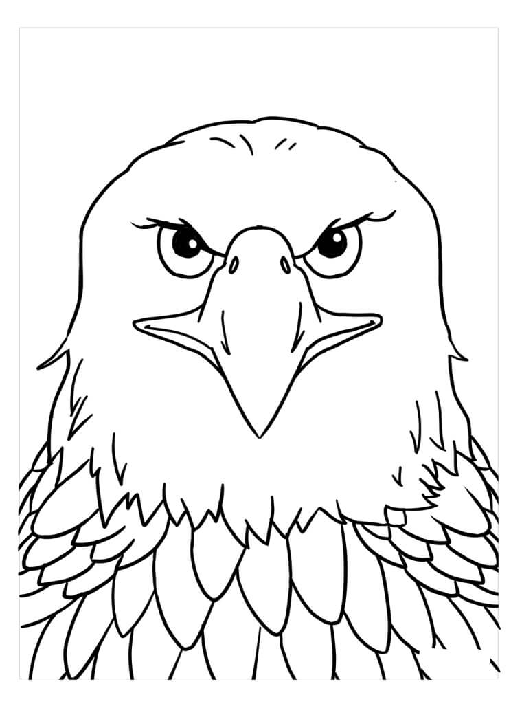 Kartal