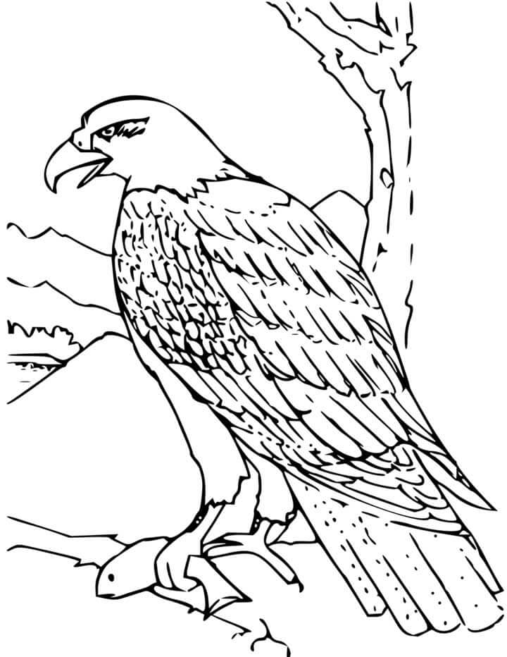 Kartal