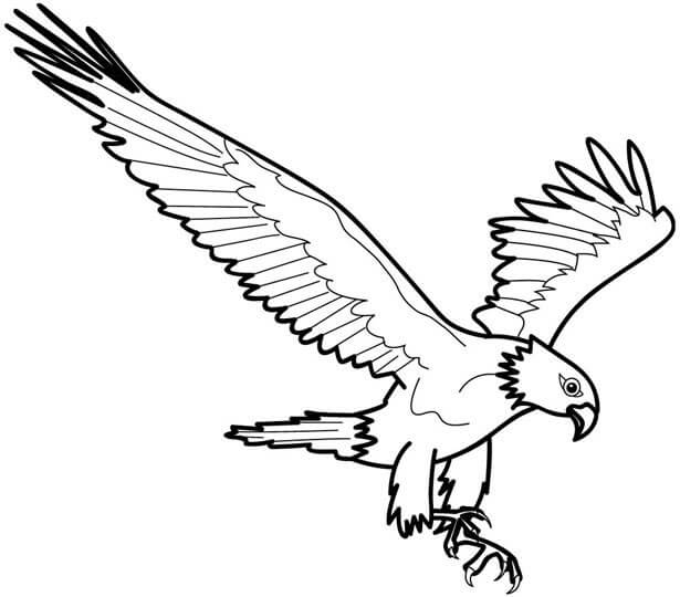 Kartal
