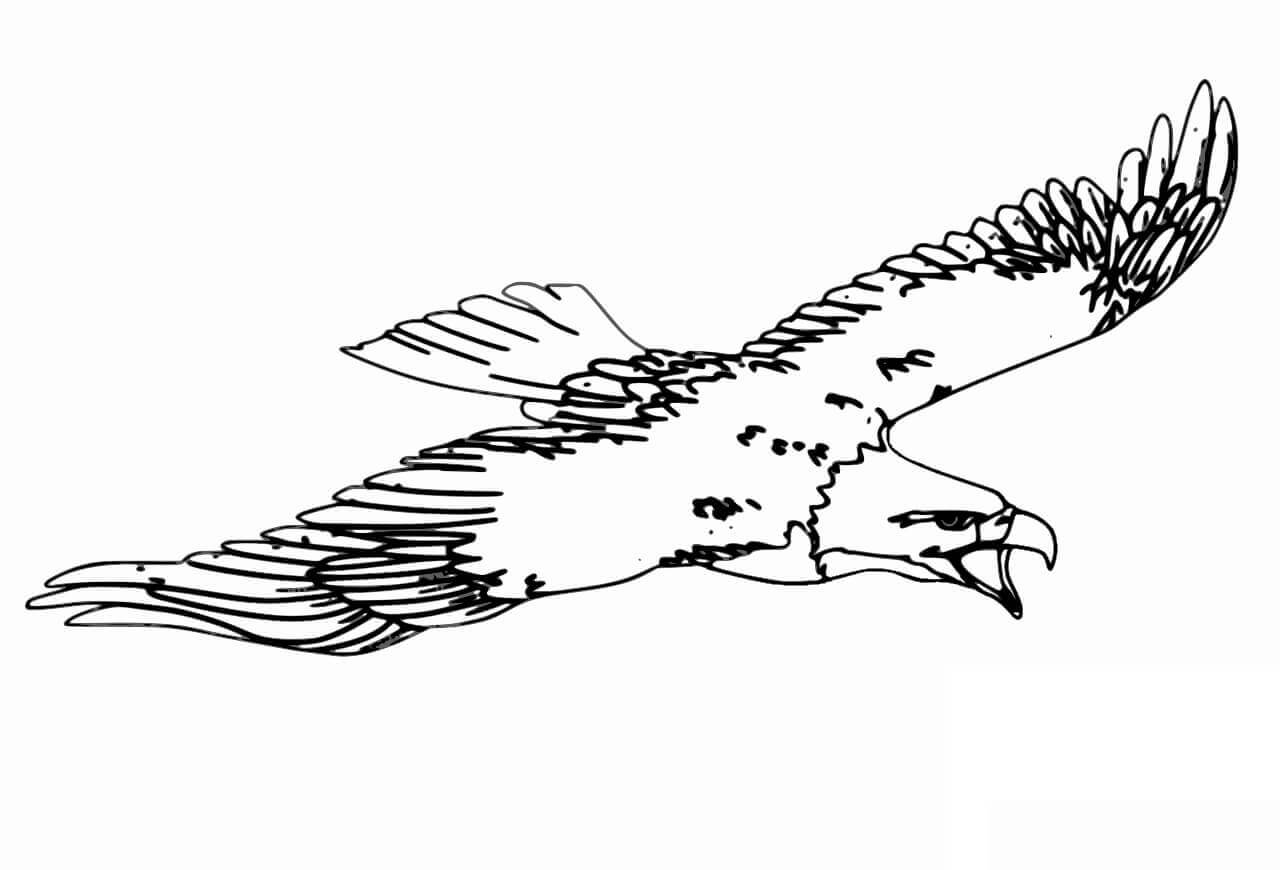 Kartal