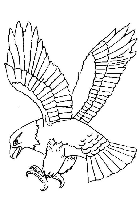 Kartal