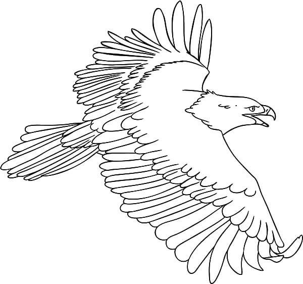 Kartal