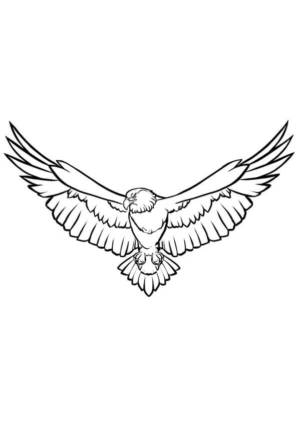 Kartal