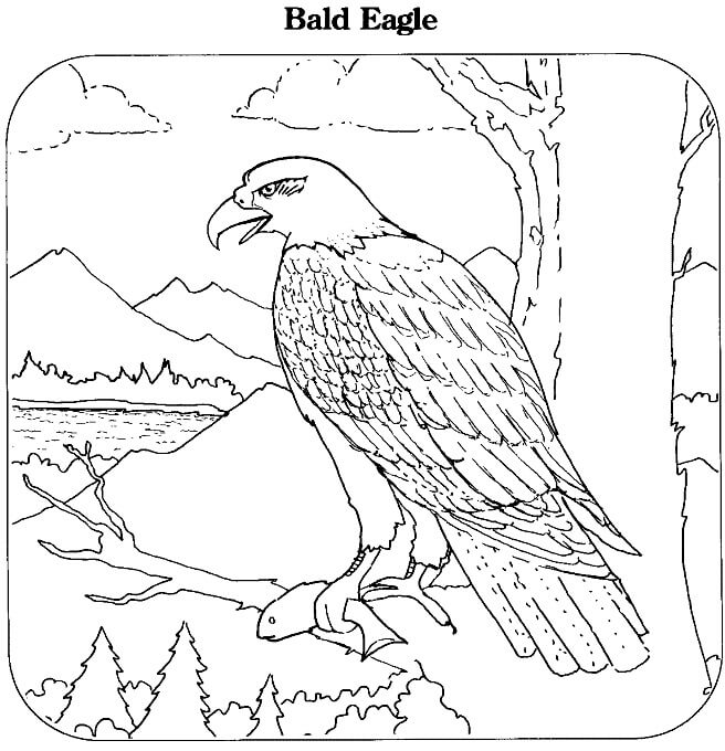 Kartal