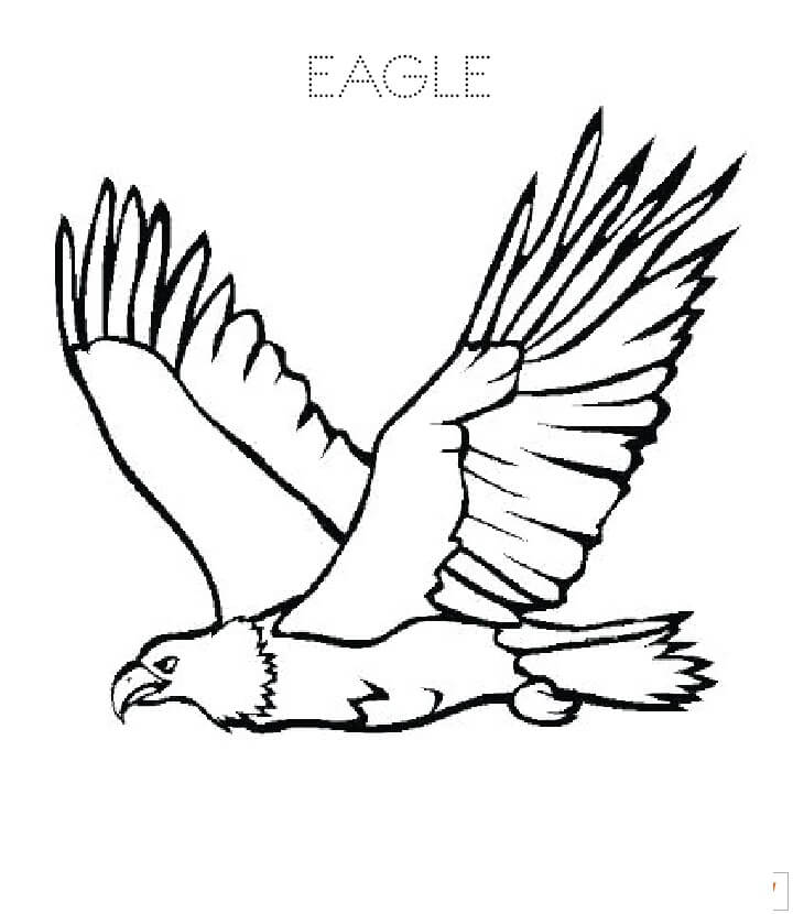 Kartal