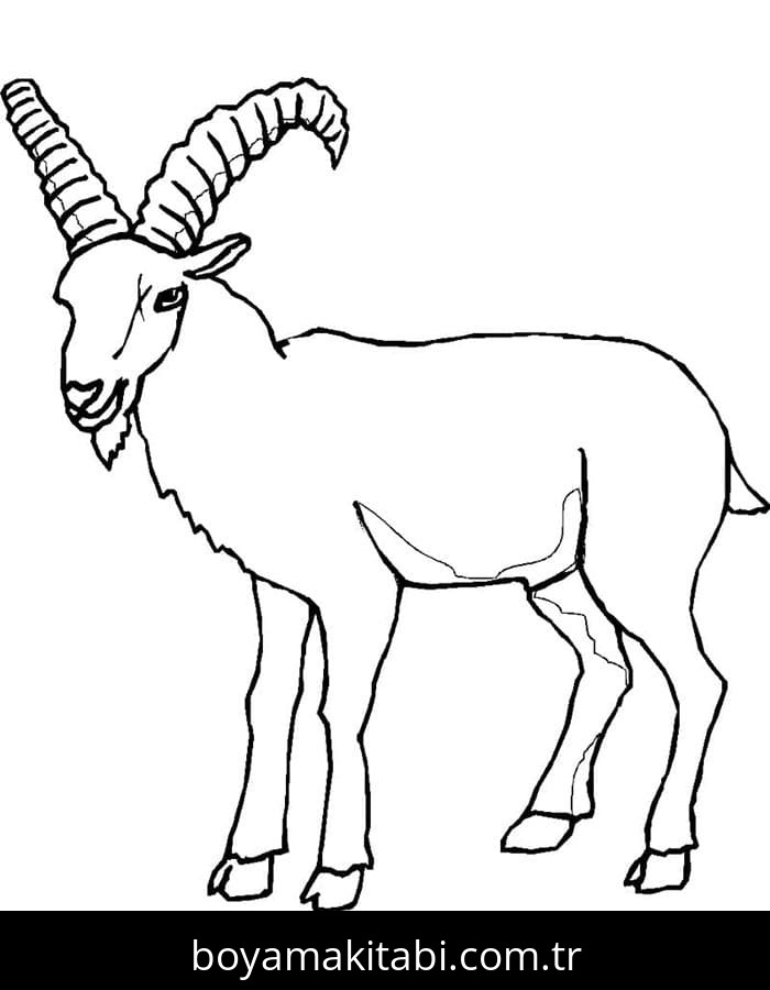 Keçi