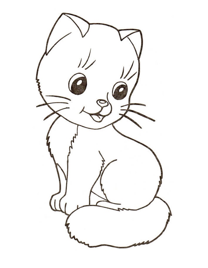 Kedi Yavrusu