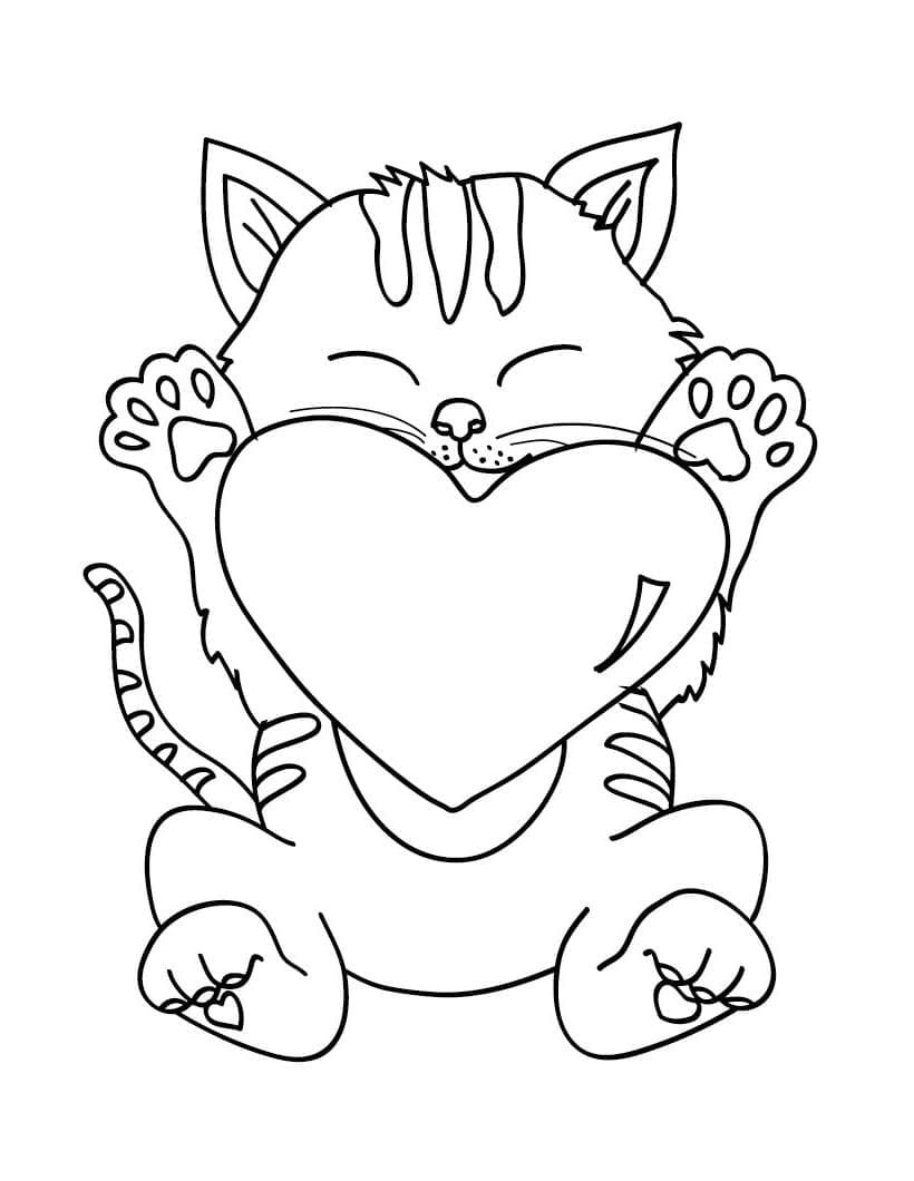Kedi Yavrusu