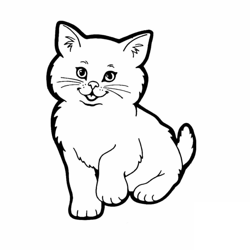 Kedi Yavrusu