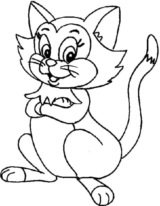 Kedi Yavrusu