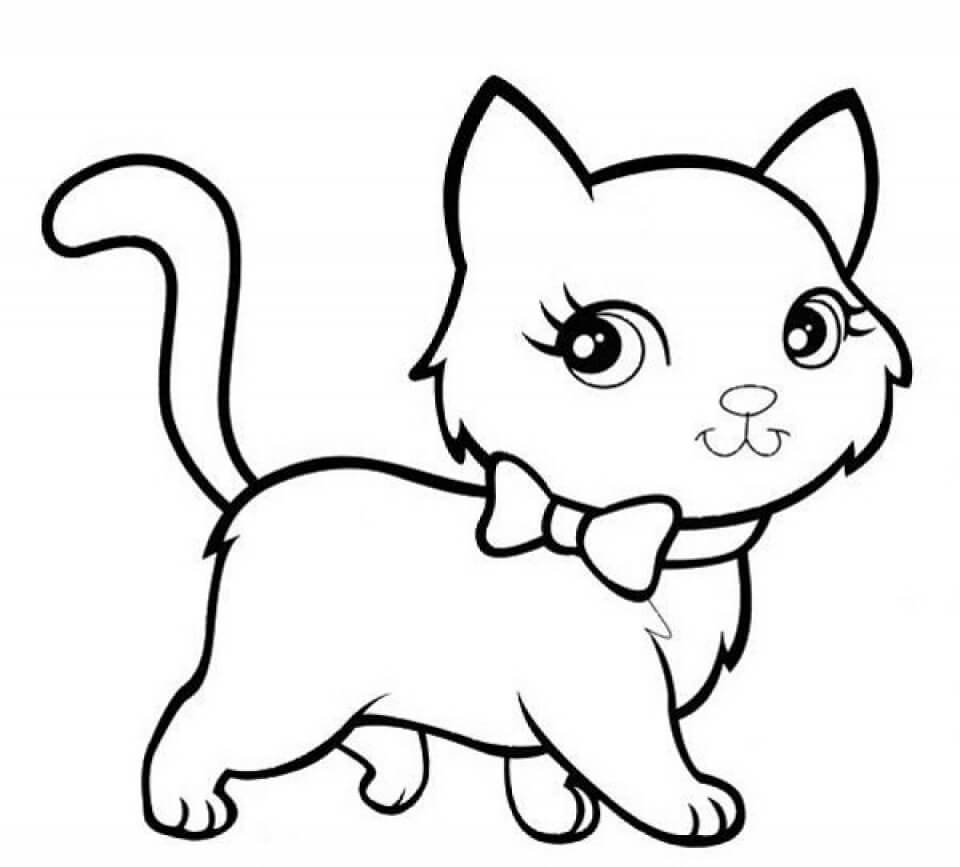 Kedi Yavrusu