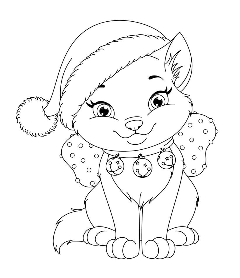 Kedi Yavrusu