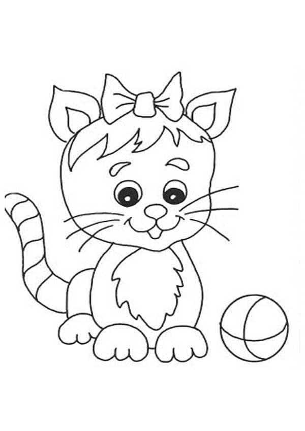 Kedi Yavrusu