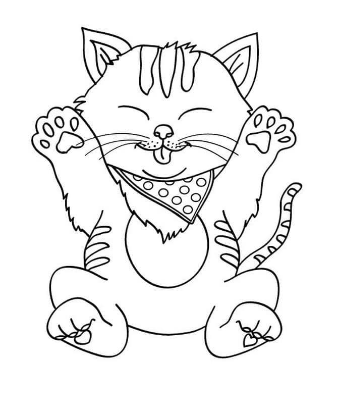 Kedi Yavrusu