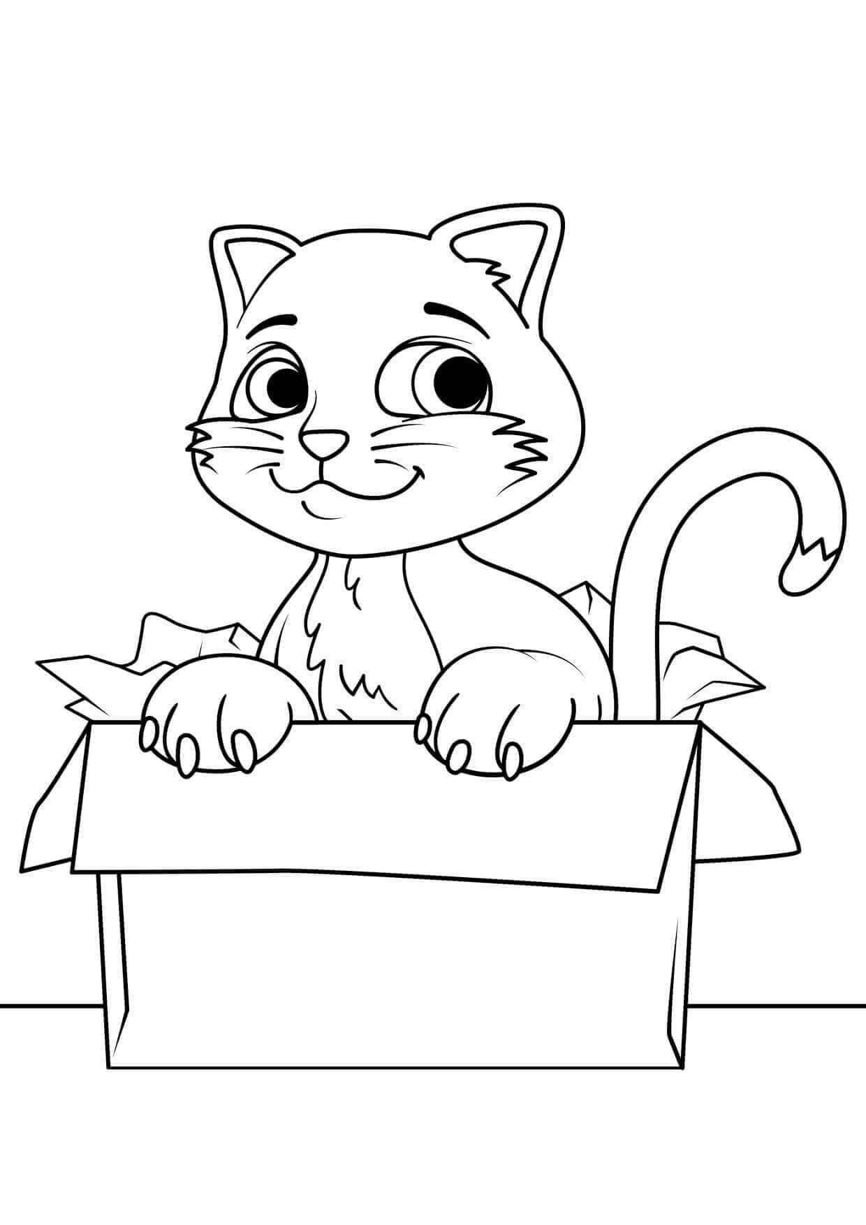 Kedi Yavrusu