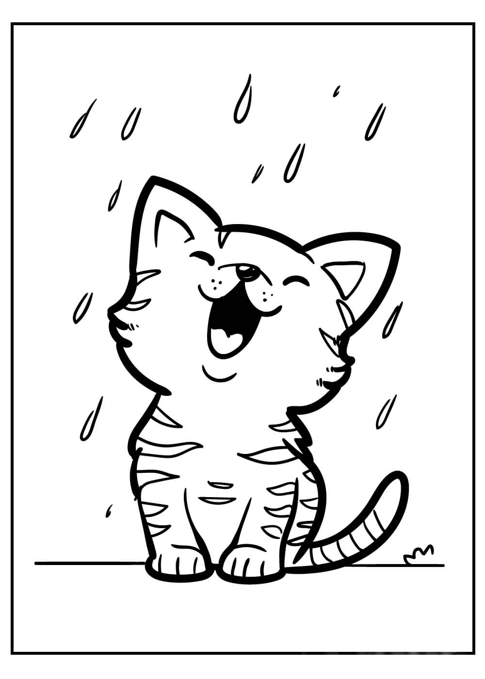 Kedi Yavrusu