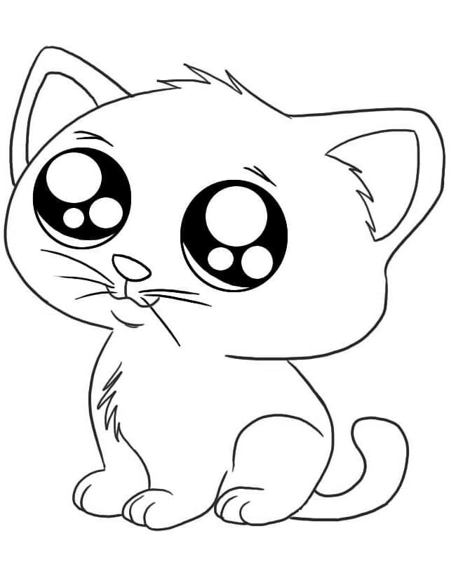 Kedi Yavrusu
