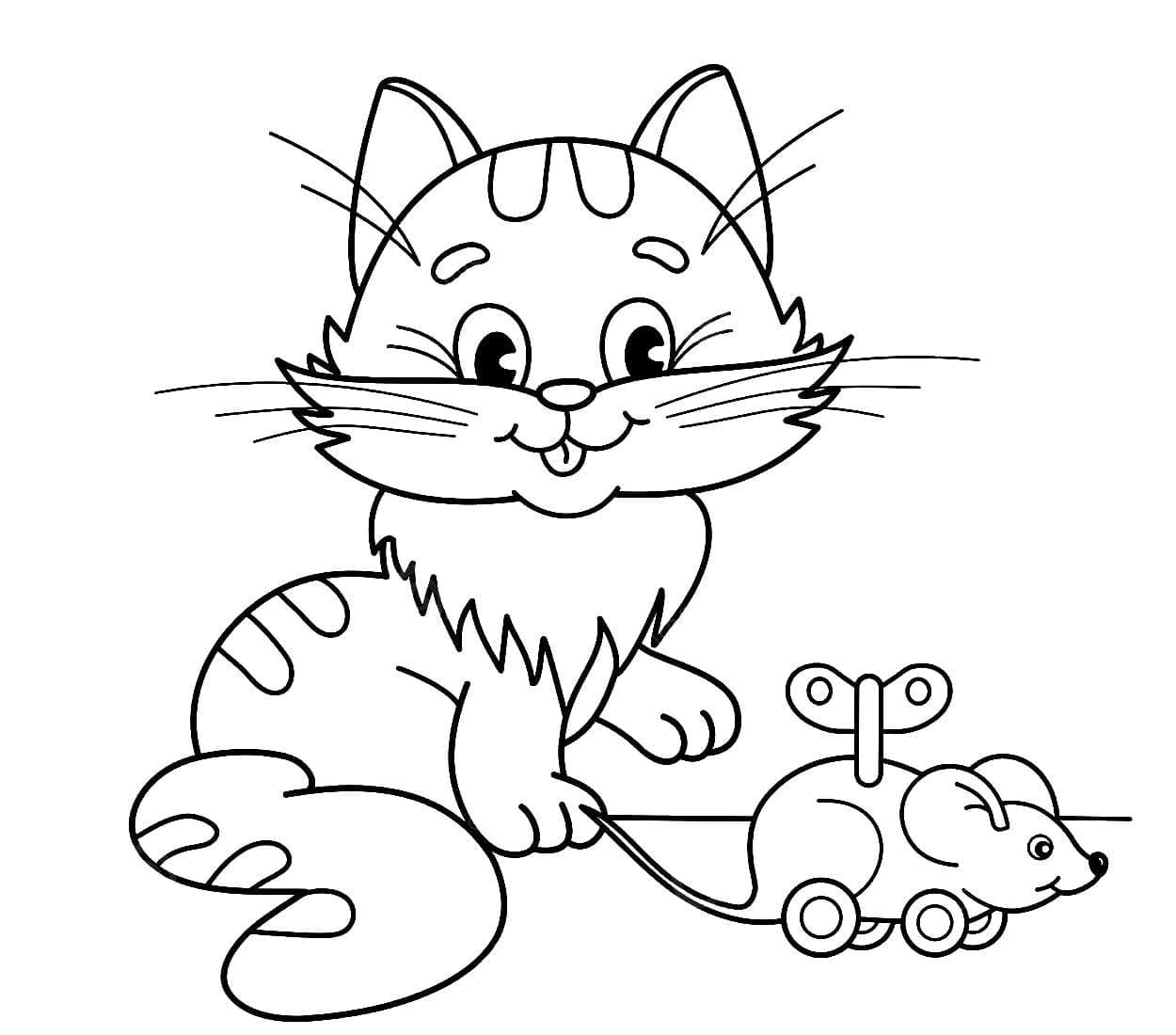 Kedi Yavrusu
