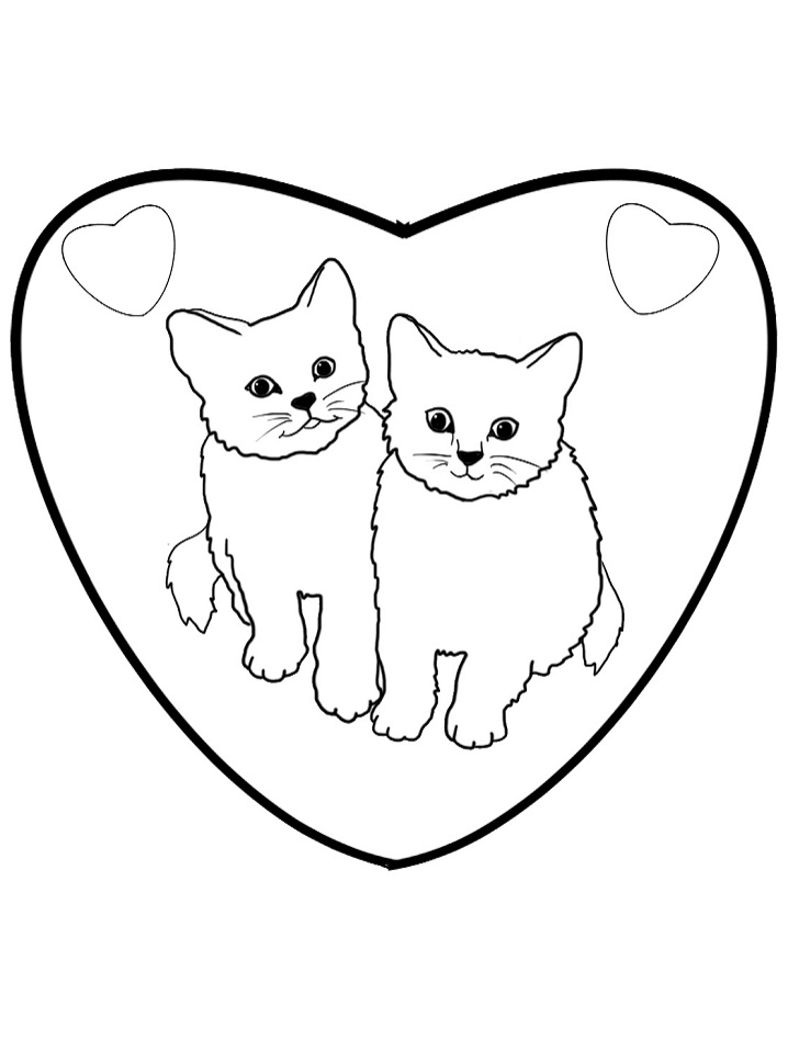 Kedi Yavrusu