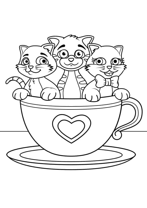Kedi Yavrusu