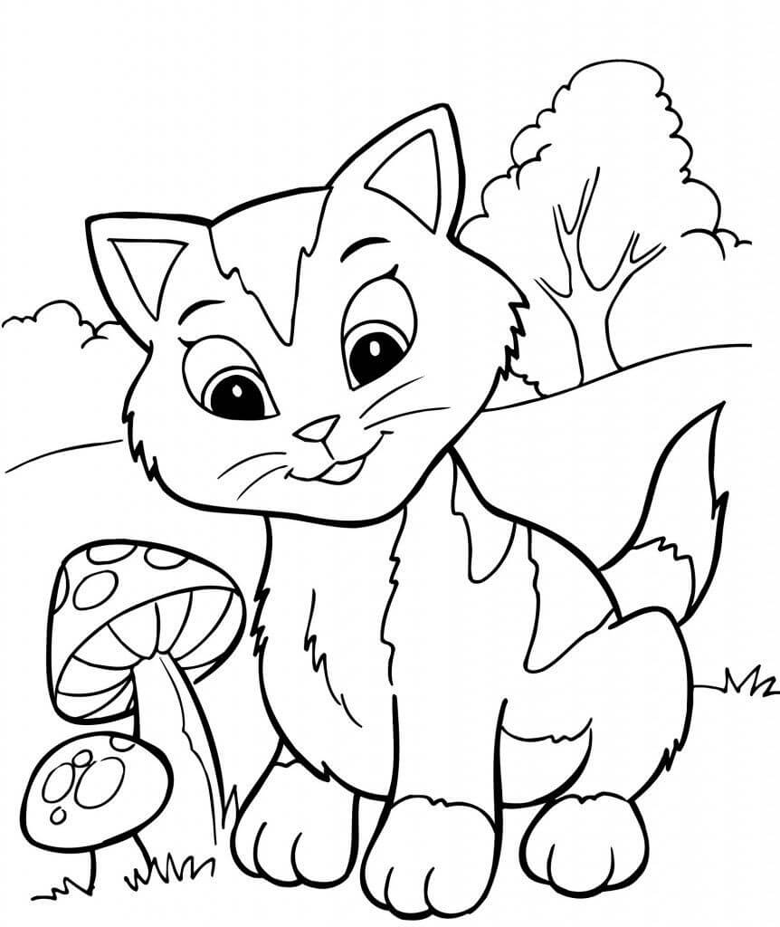 Kedi Yavrusu