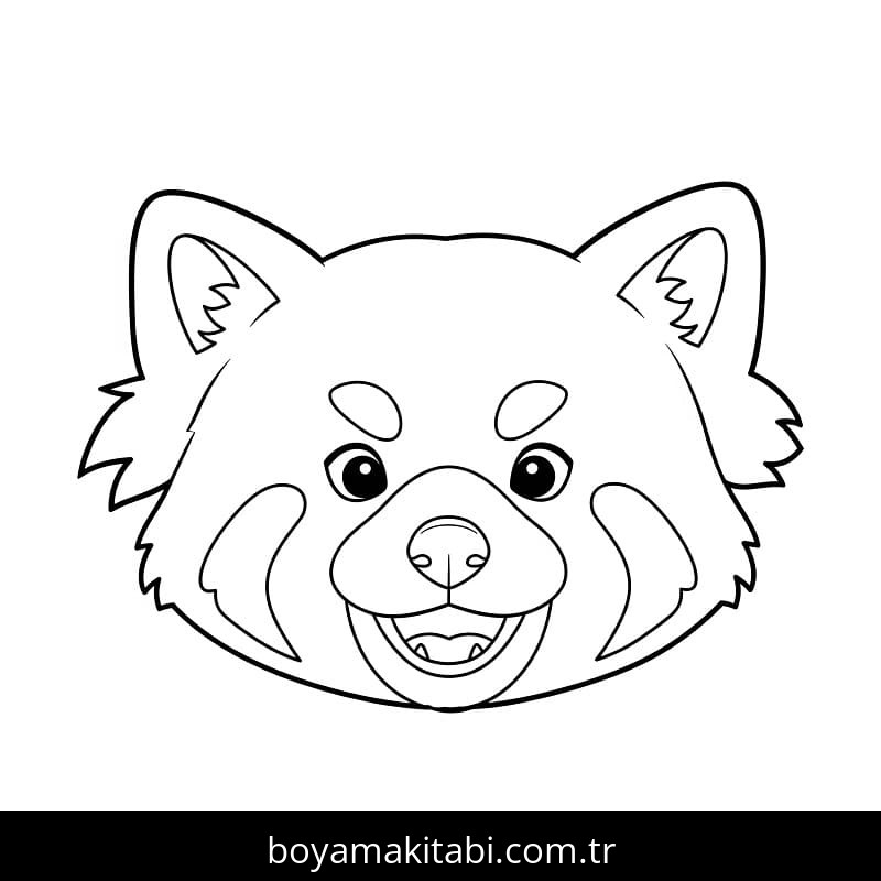 Kırmızı Panda
