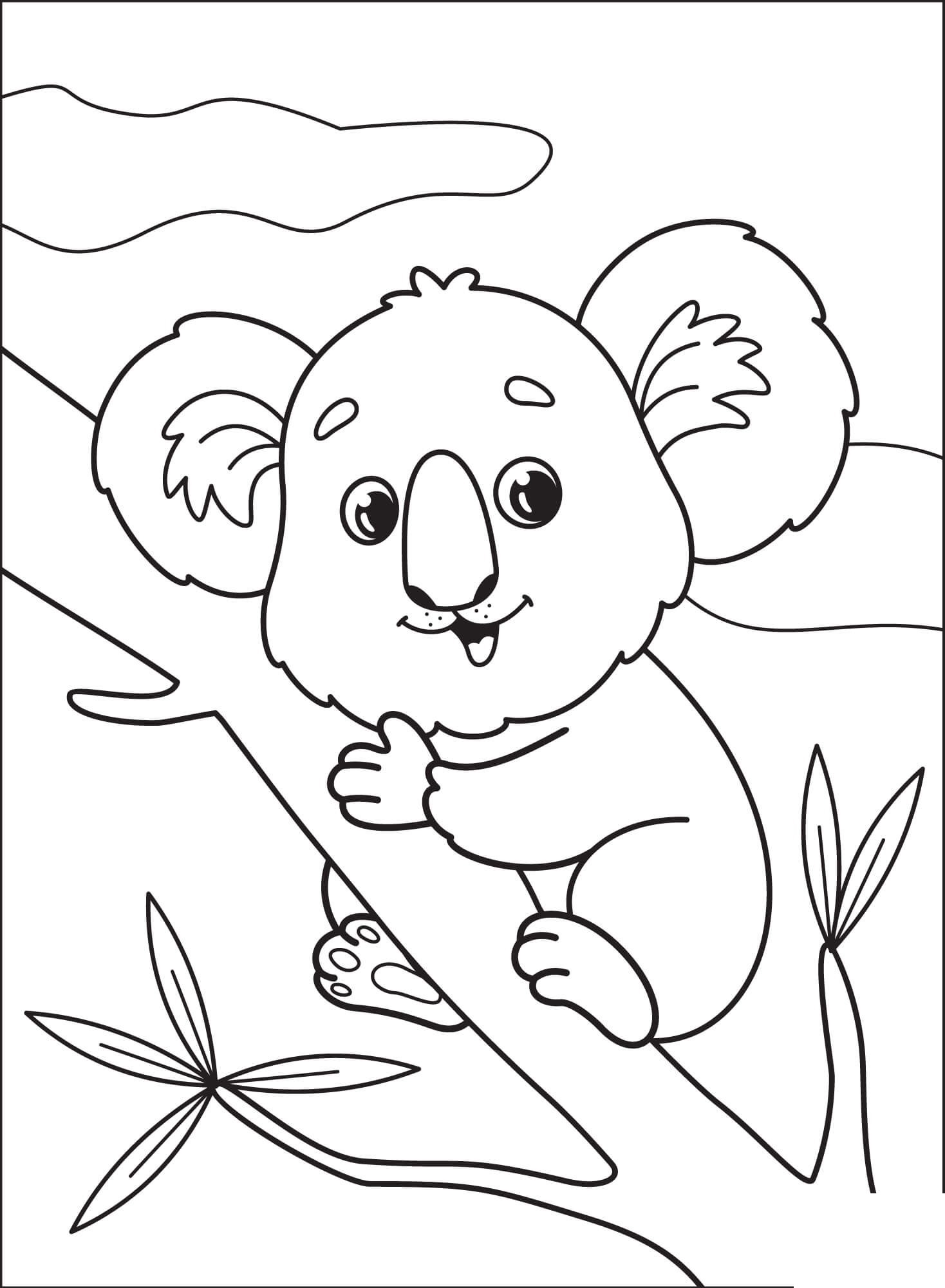 Koala