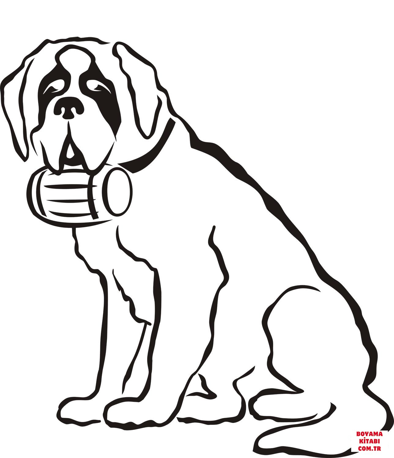 Köpek