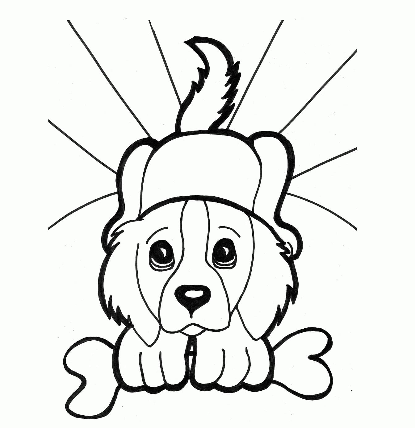 Köpek