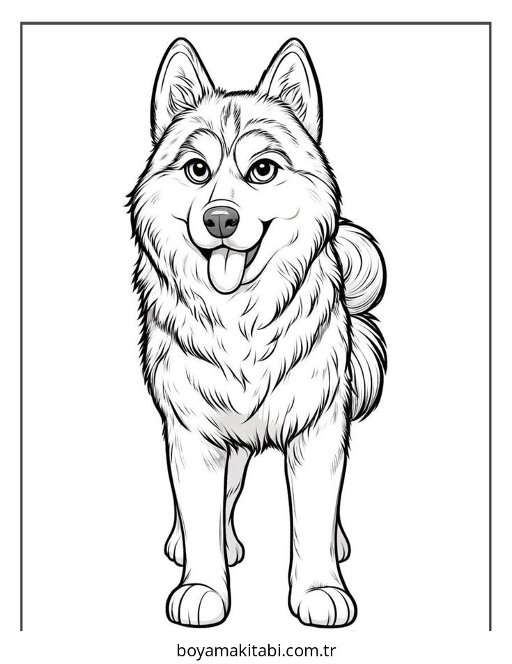 Köpek
