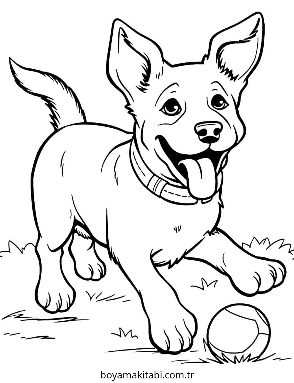 Köpek