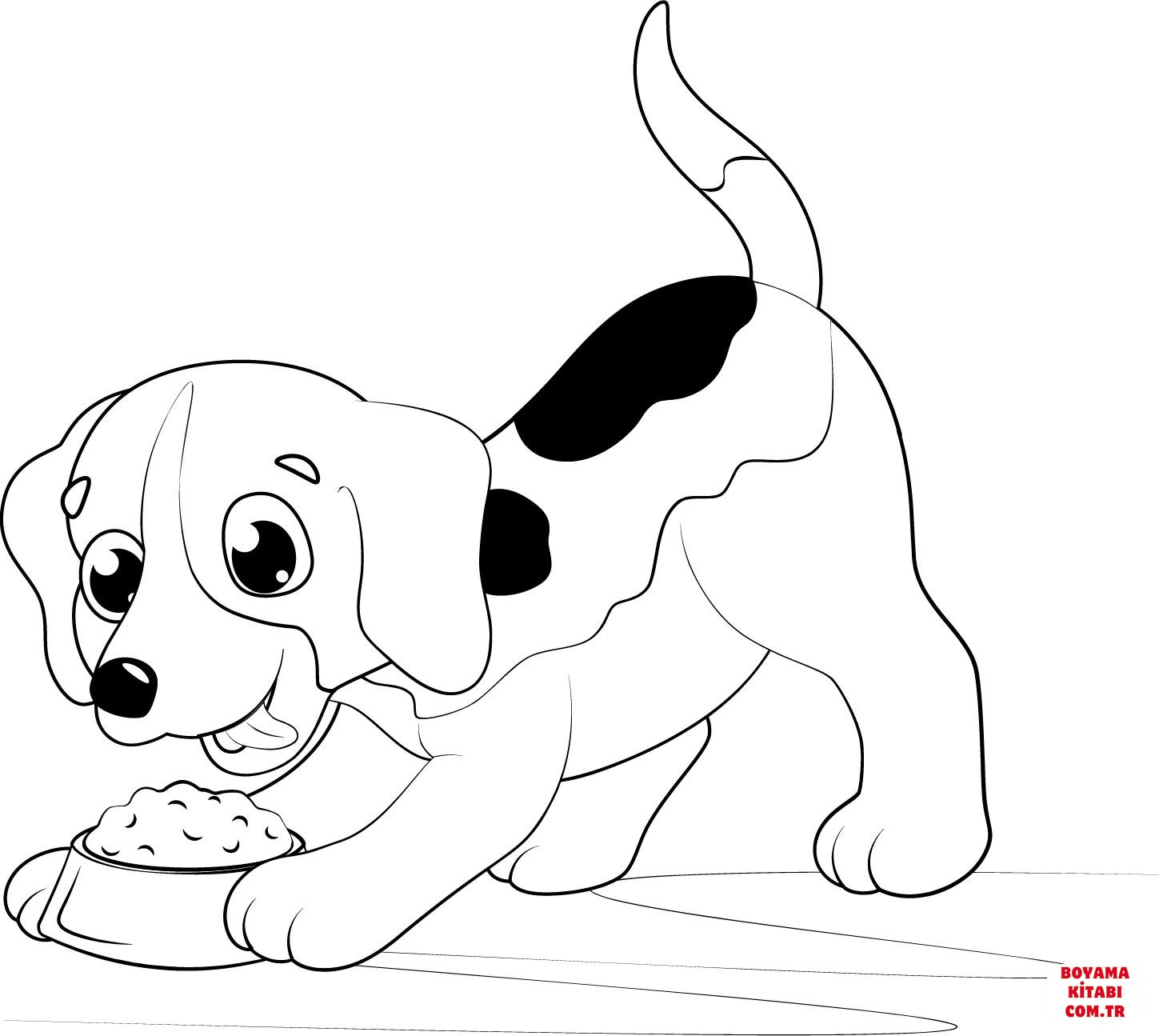 Köpek