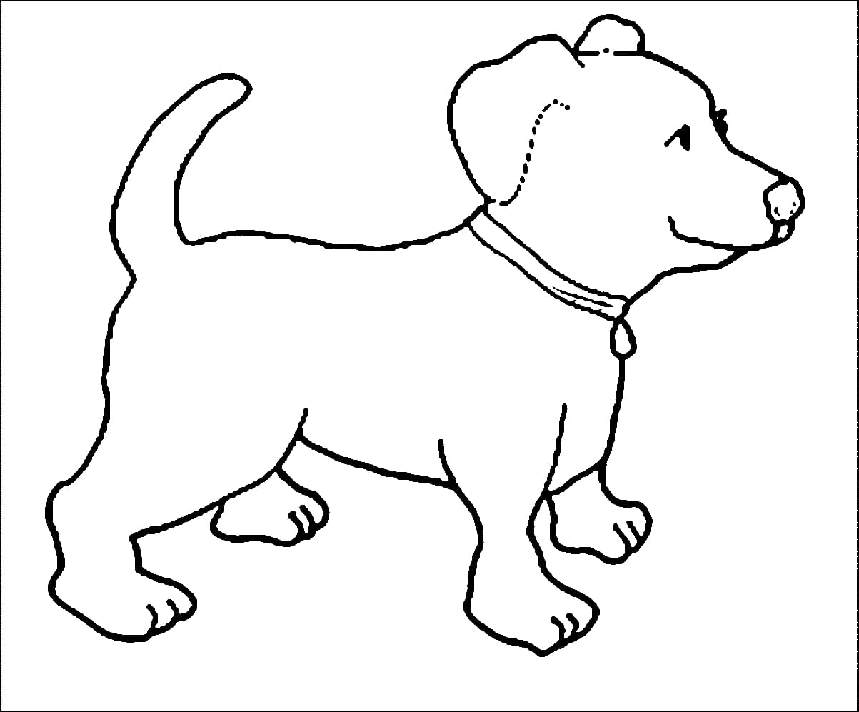 Köpek