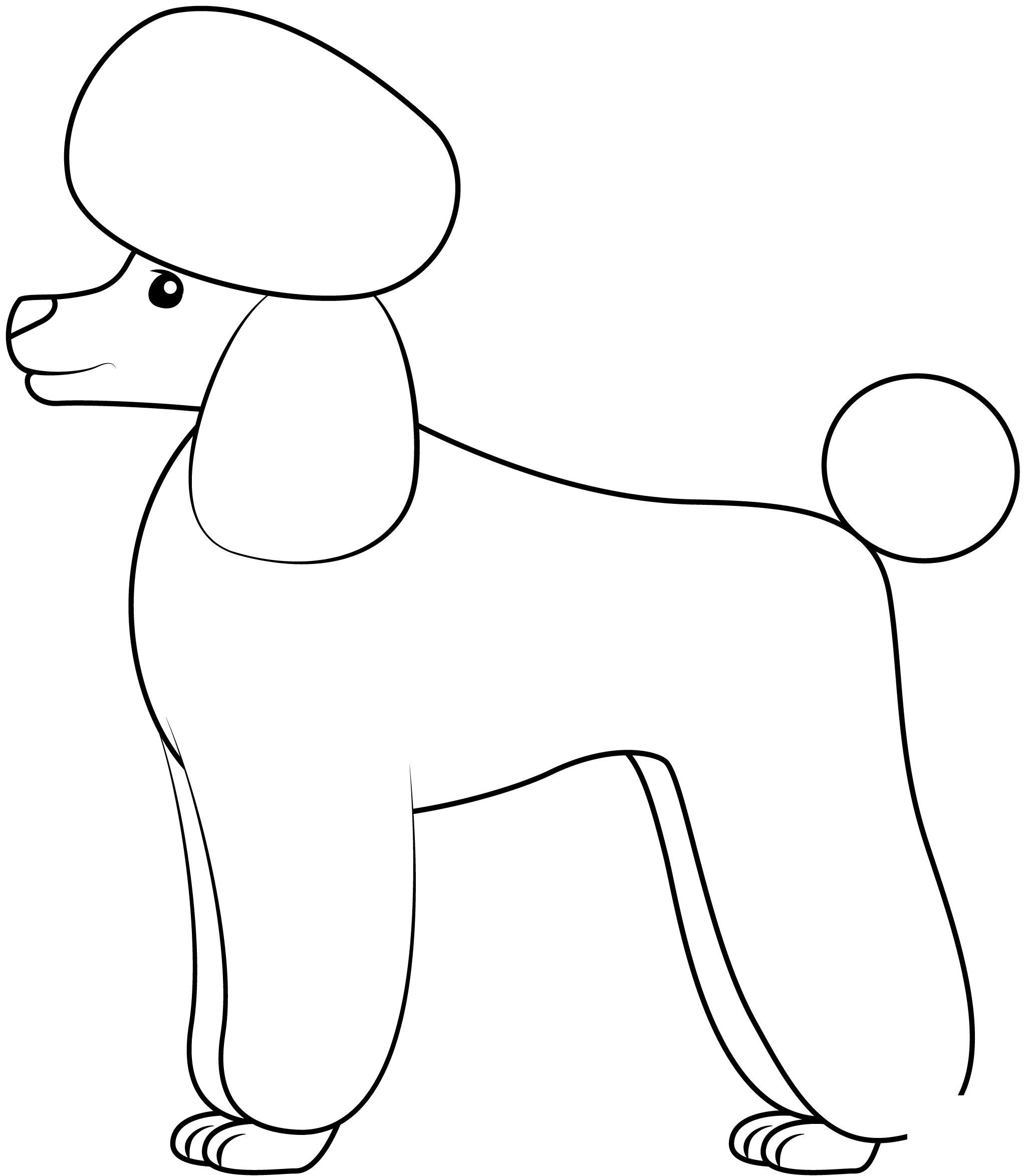 Köpek