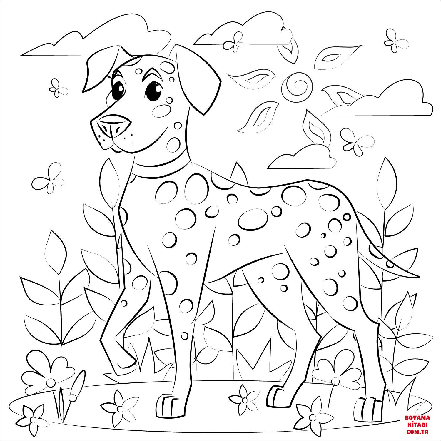 Köpek