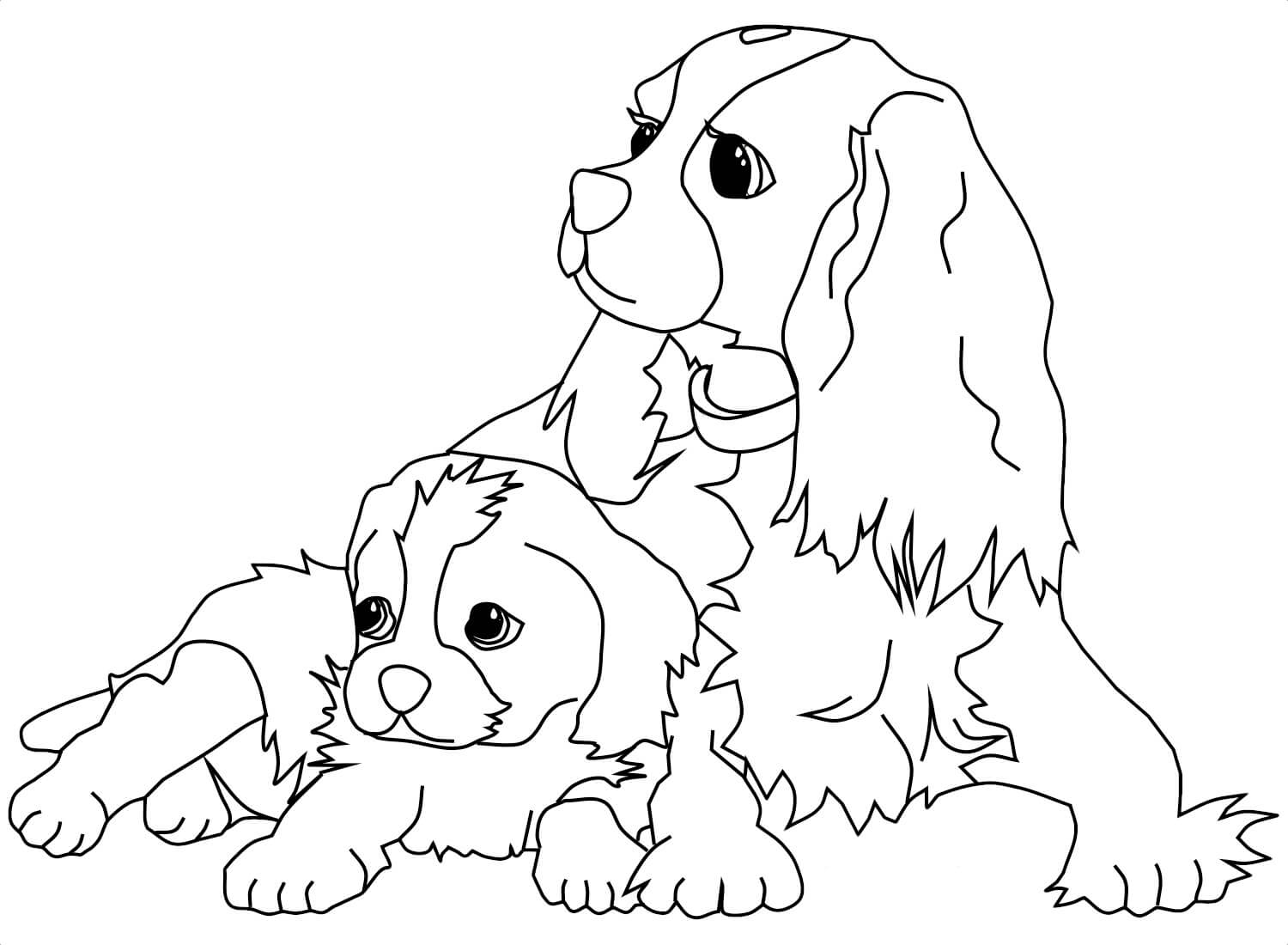 Köpek